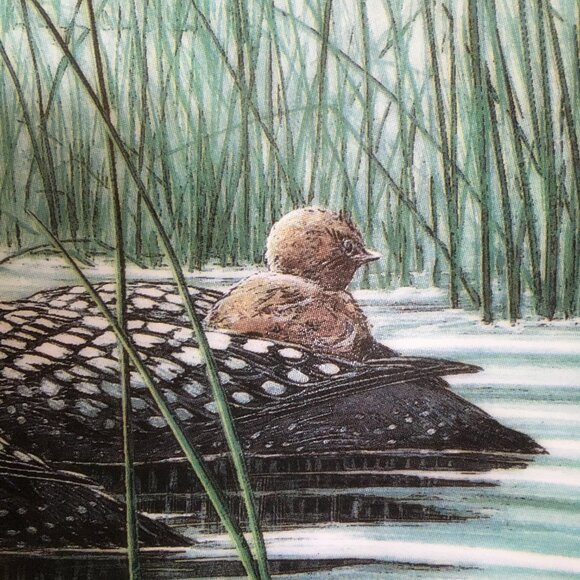 2/$40 Voice of the North Decorative Plate 'Keeping Them Safe' Don Li-Leger - Picture 5 of 10